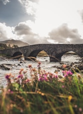 the sligichan stone bridge over a stream with wildflowers in the foreground on the Isle of Skye