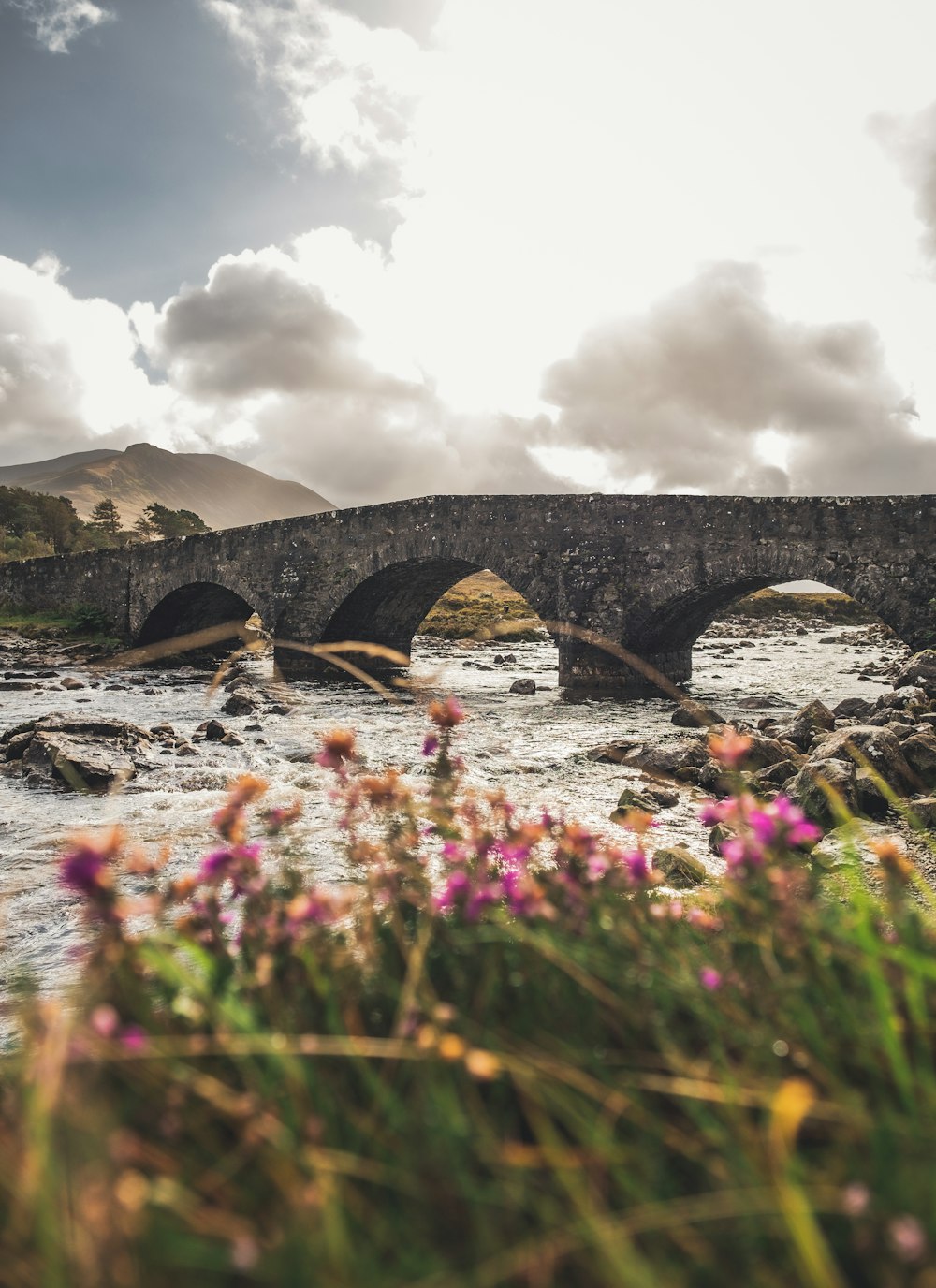 a stone bridge over a river with wildflowers in the foreground