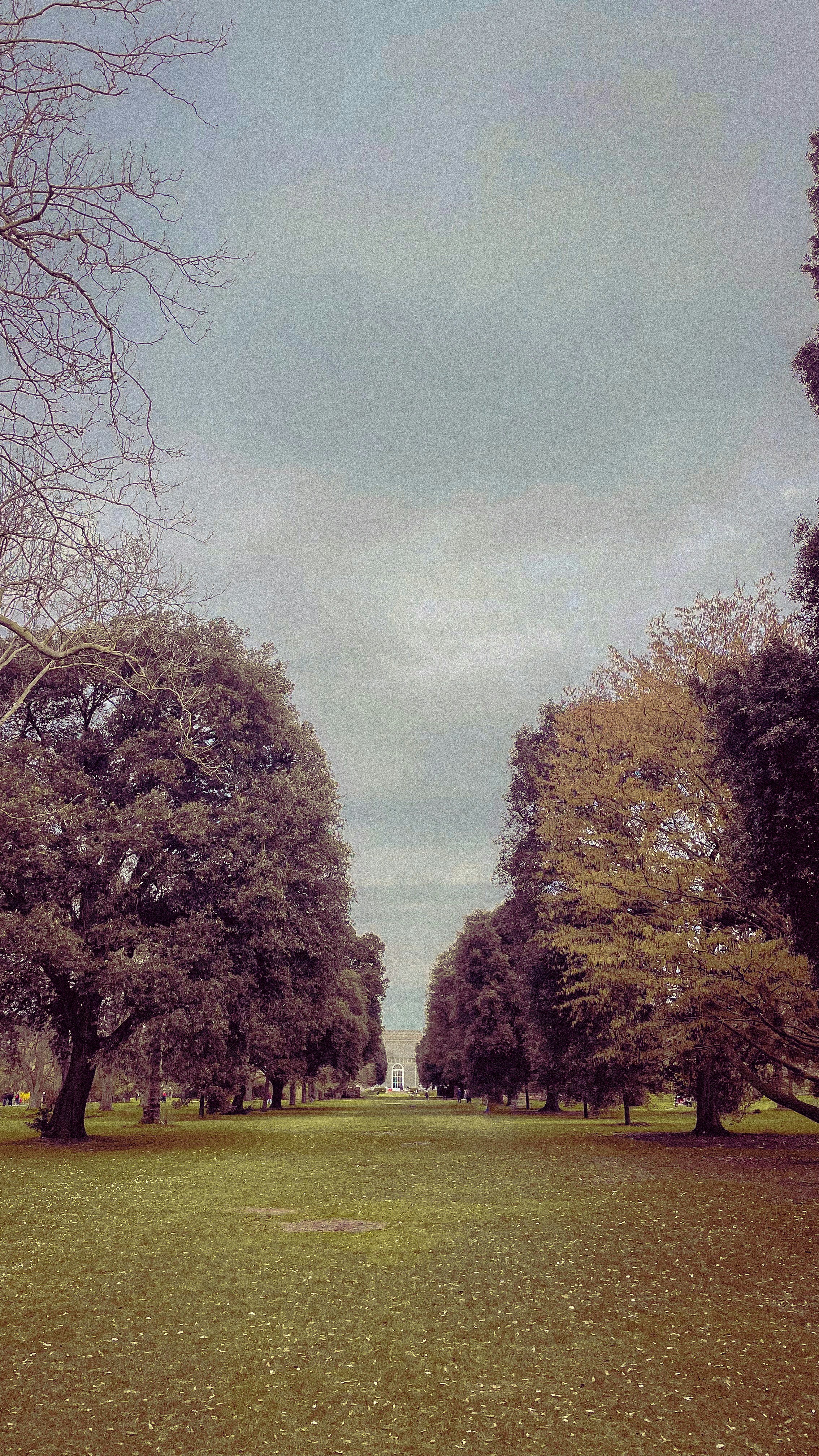 a park filled with lots of trees under a cloudy sky