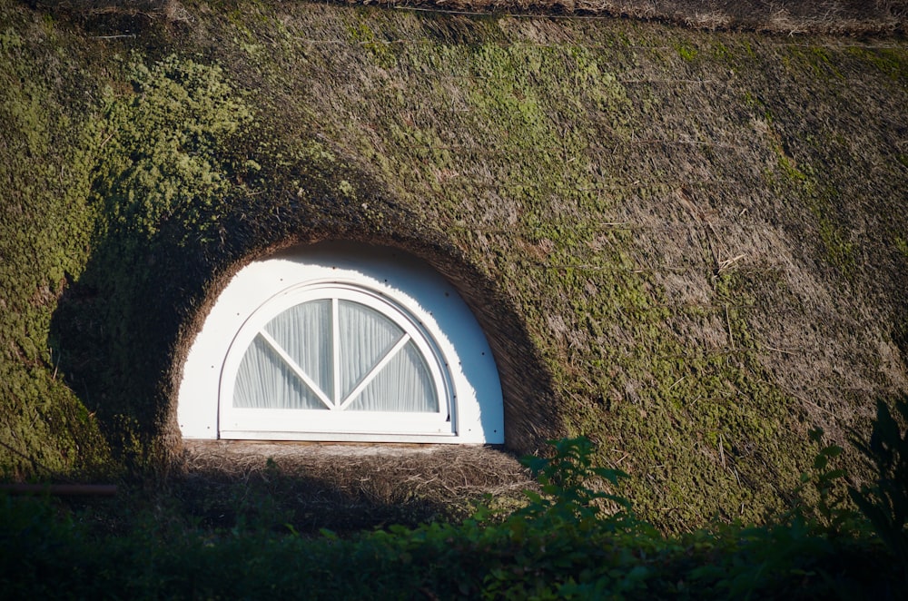 a round window in a green grass covered wall