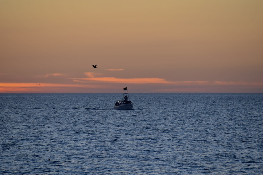 a bird flying over a boat in the ocean