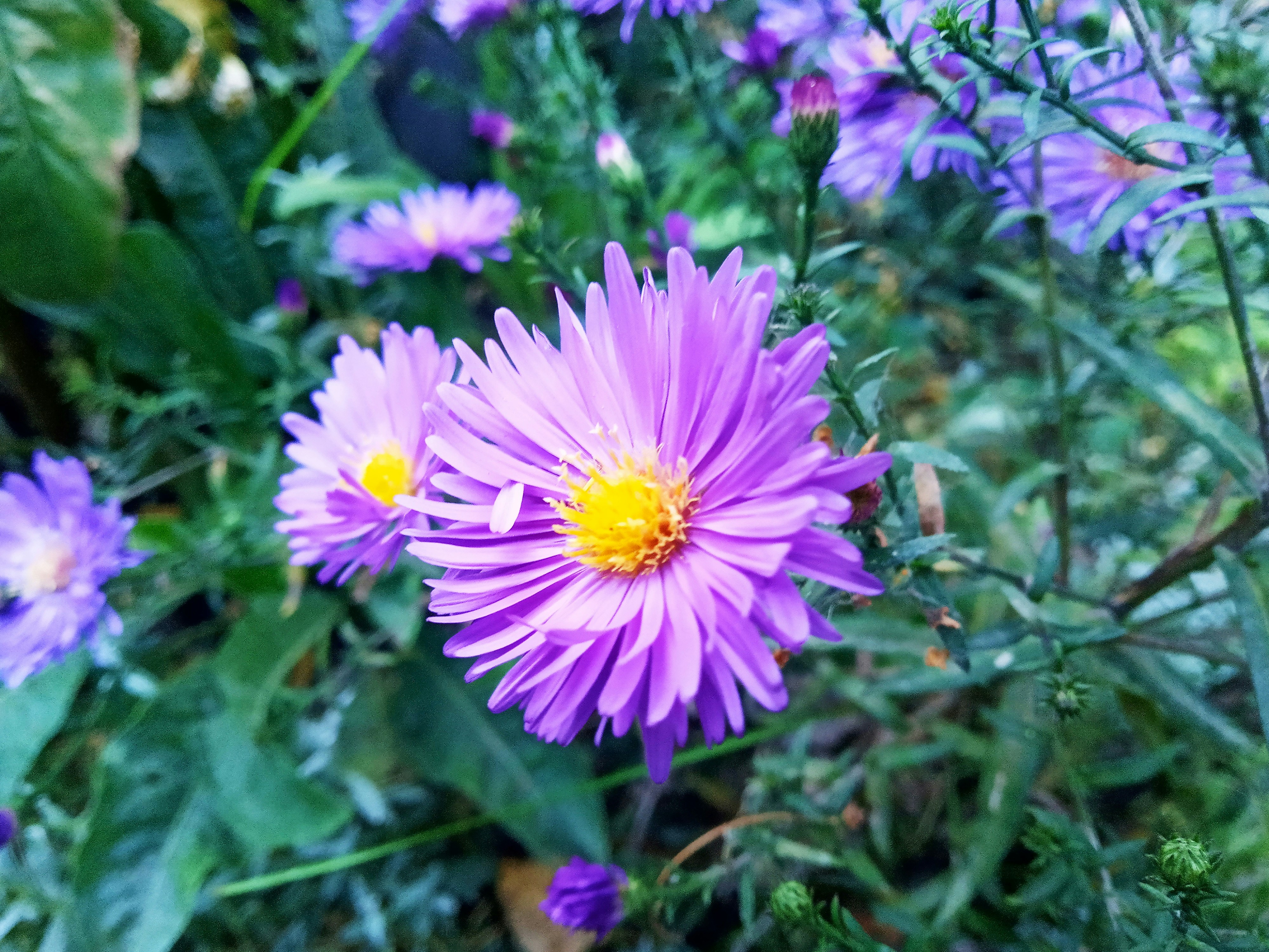 Photo by dmitry_burdakov