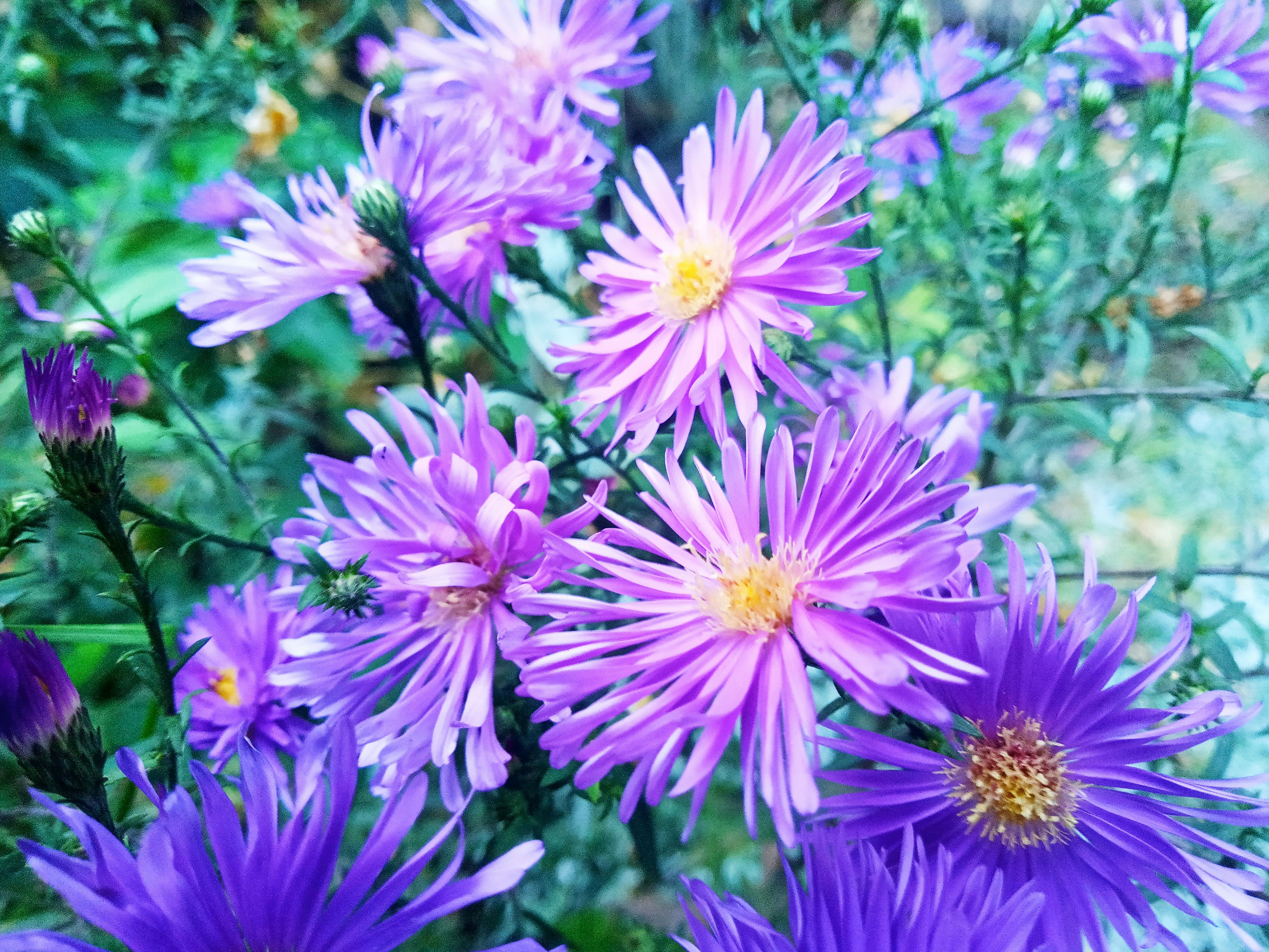 Photo by dmitry_burdakov