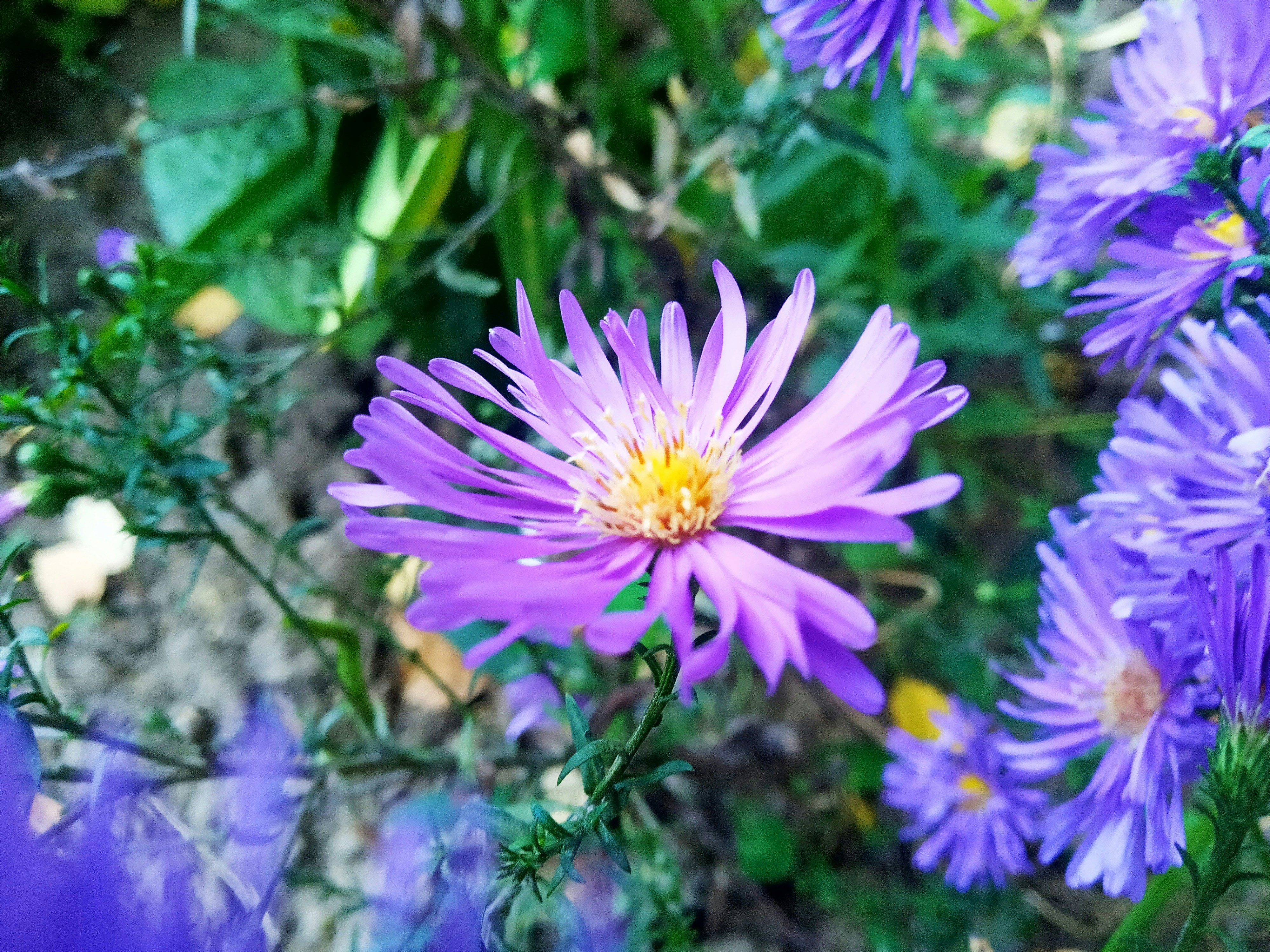 Photo by dmitry_burdakov