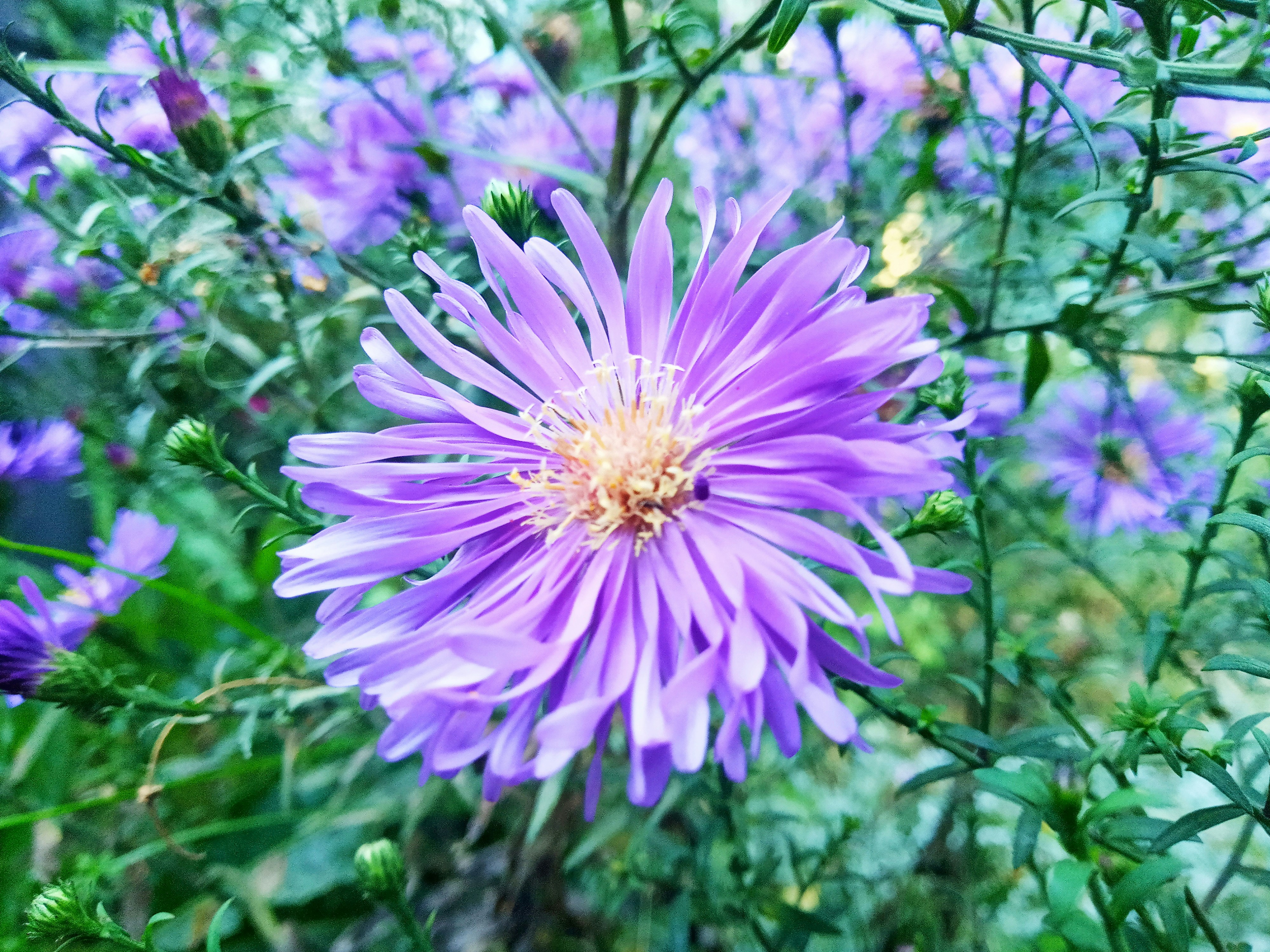 Photo by dmitry_burdakov