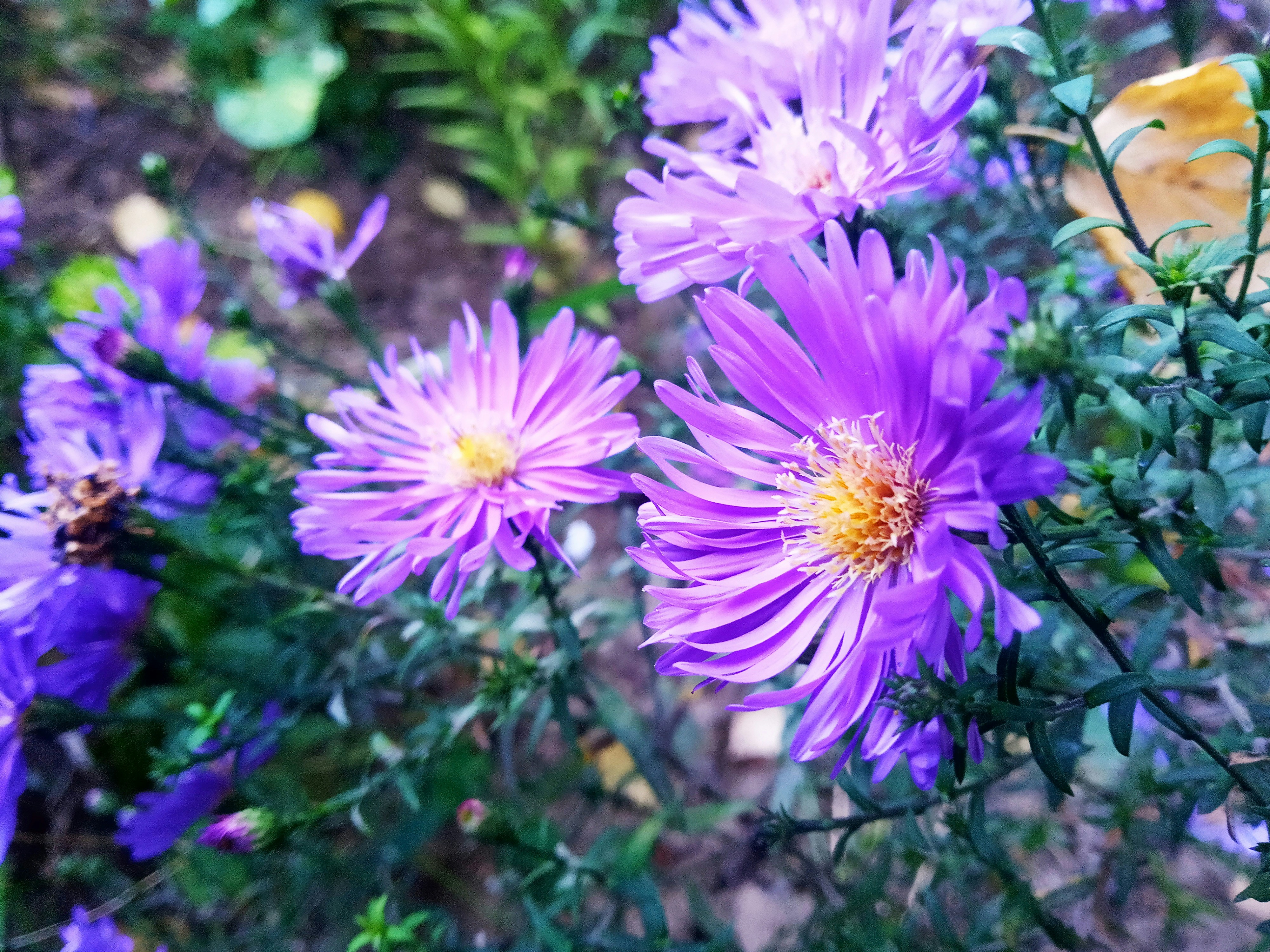 Photo by dmitry_burdakov