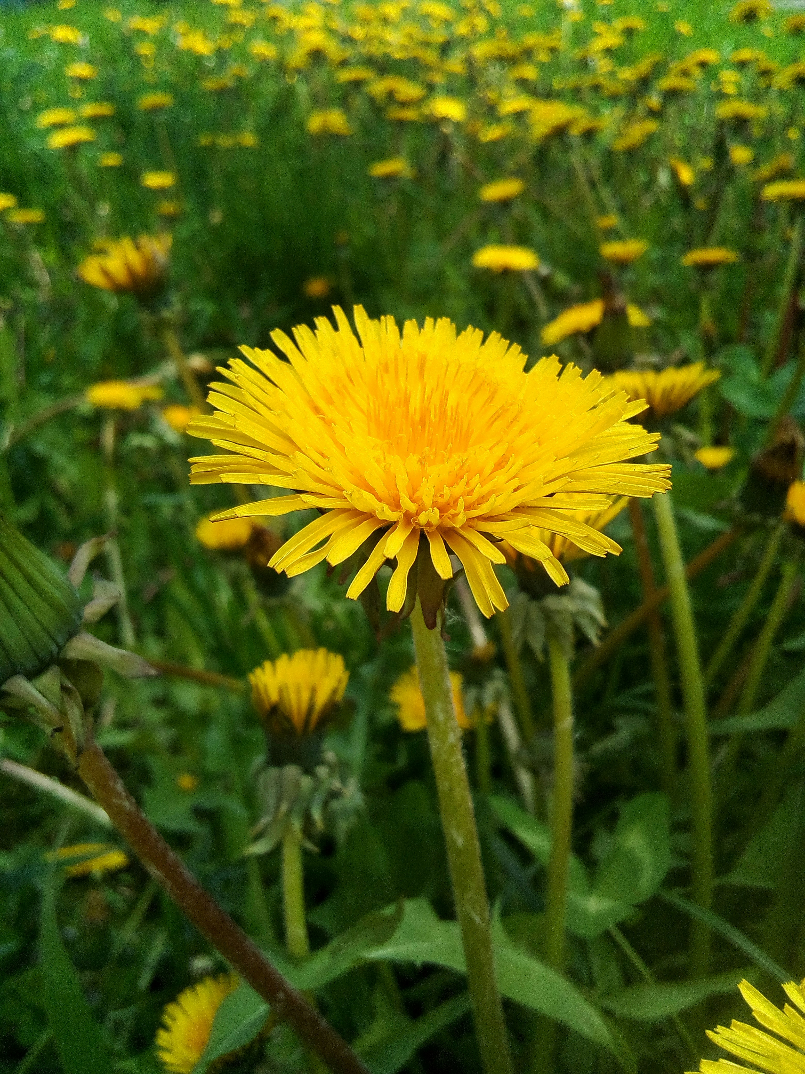 Photo by dmitry_burdakov