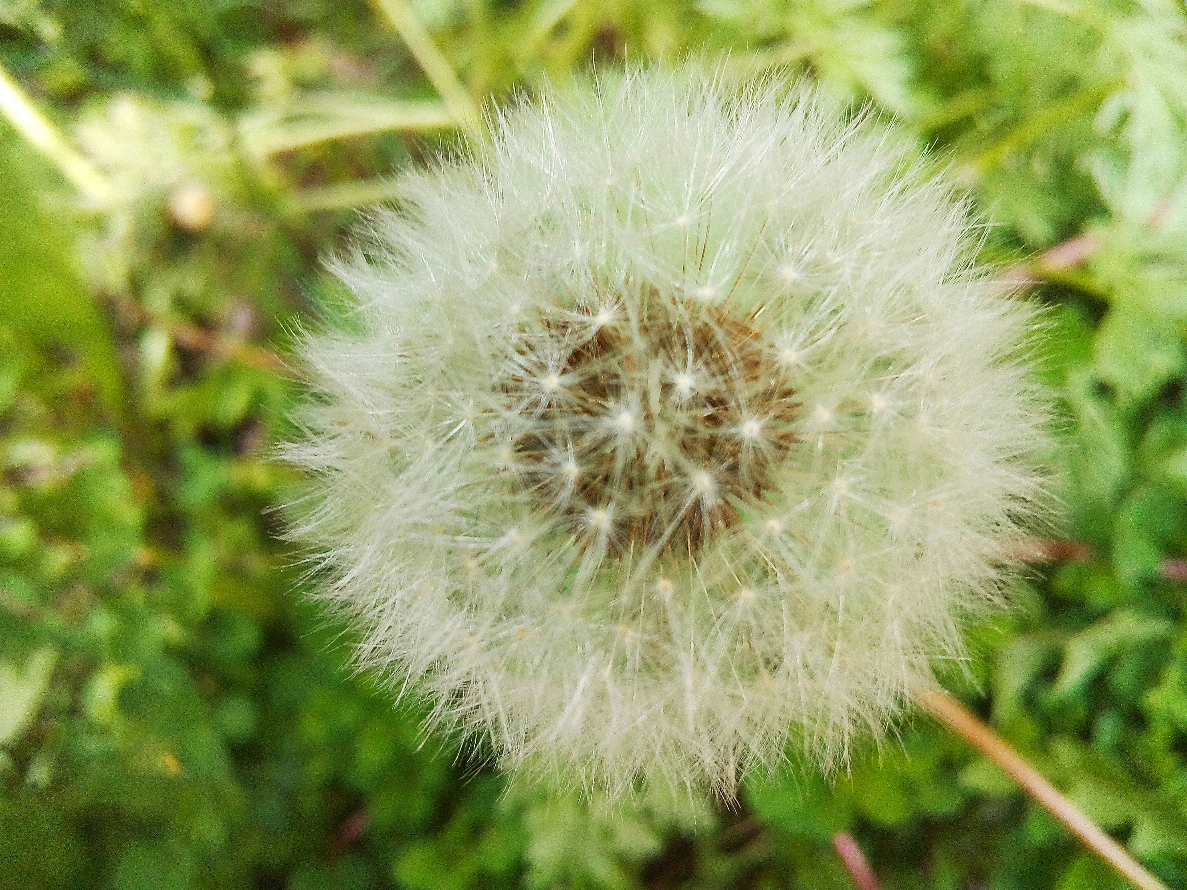 Photo by dmitry_burdakov