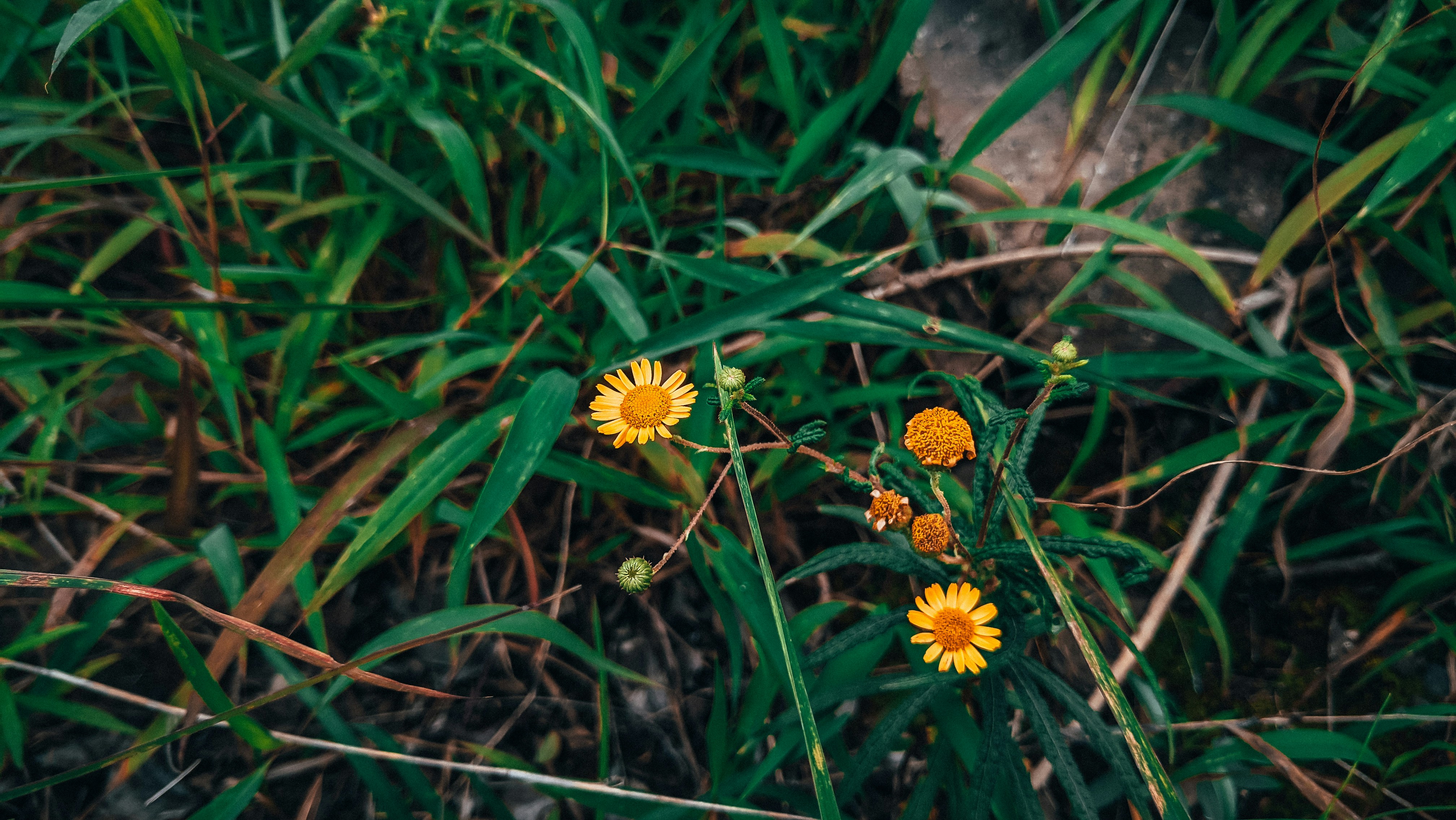 Photo by mechatron