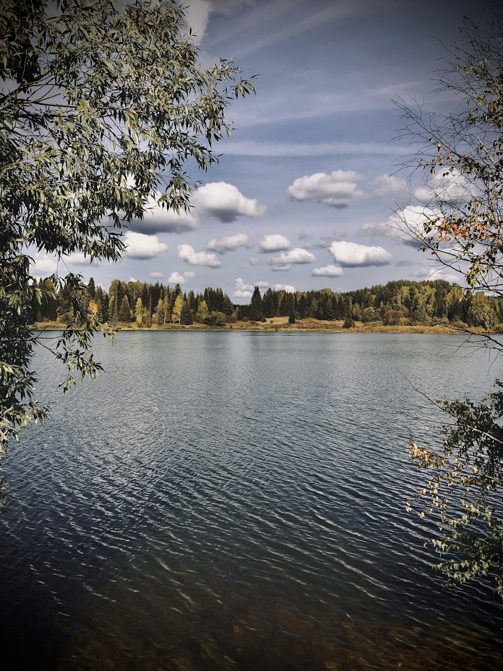 a large body of water surrounded by trees