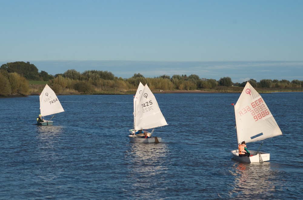 a group of sailboats on a lake with trees in the background