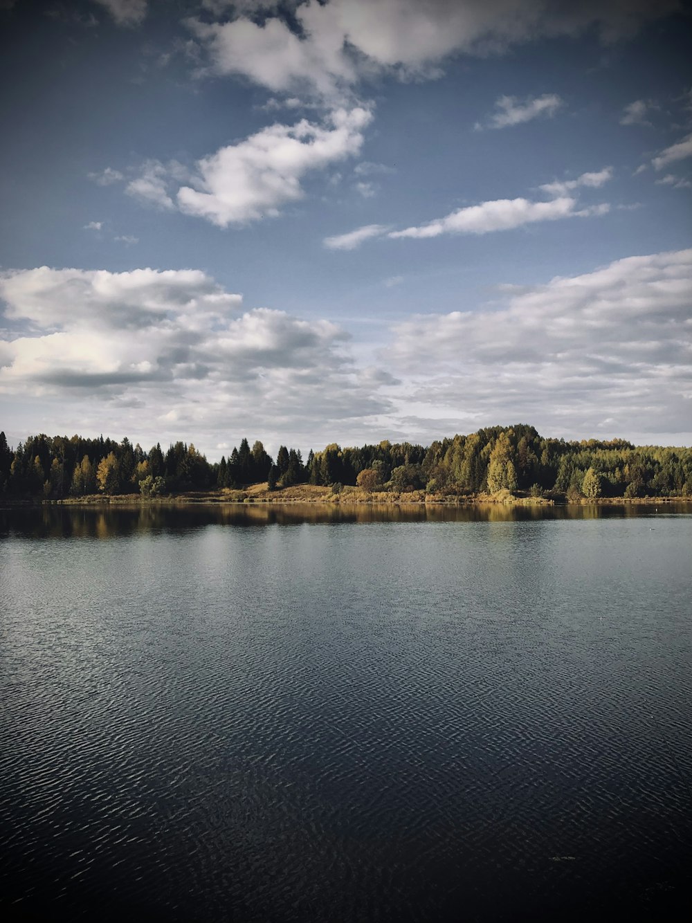 a large body of water surrounded by trees