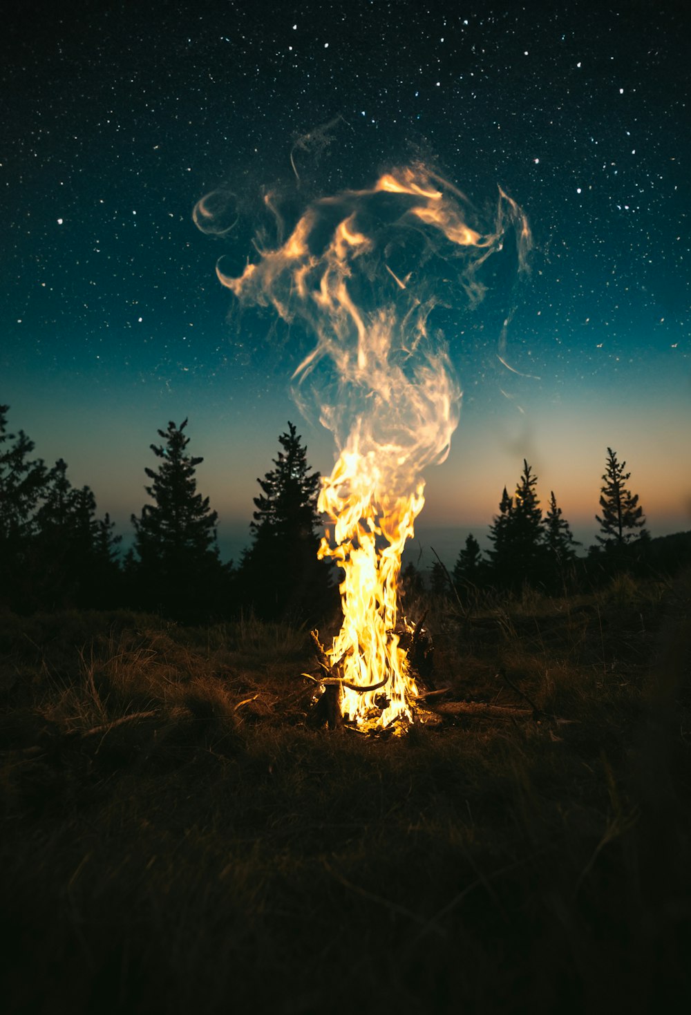 un feu au milieu d’un champ avec des arbres en arrière-plan