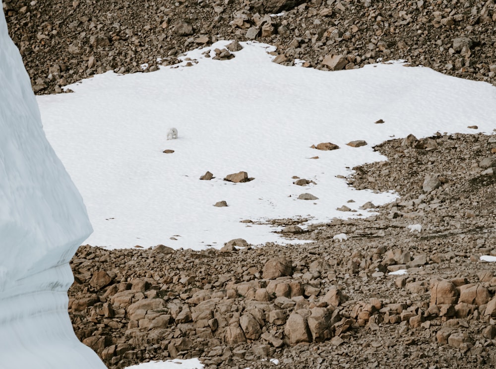 a snowboarder is going down a snowy hill