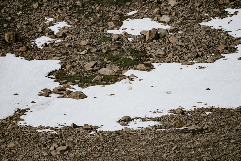 a snow covered ground with rocks and a snowboard