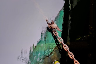 a bird perched on a chain near a body of water