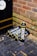 Several canisters labeled 'Fast Gas' are placed on a wet, dark tiled ground next to a brick wall. The surroundings include a wooden structure with a 'Canal & River Trust' logo. Fallen leaves and wet patches are visible on the ground.