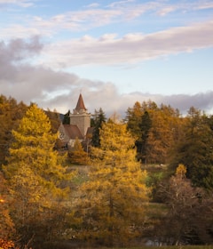 A peaceful outdoor scene with the church building framed by autumn trees.
