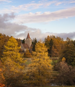 A vintage church steeple bathed in warm morning light with autumn leaves gently falling.