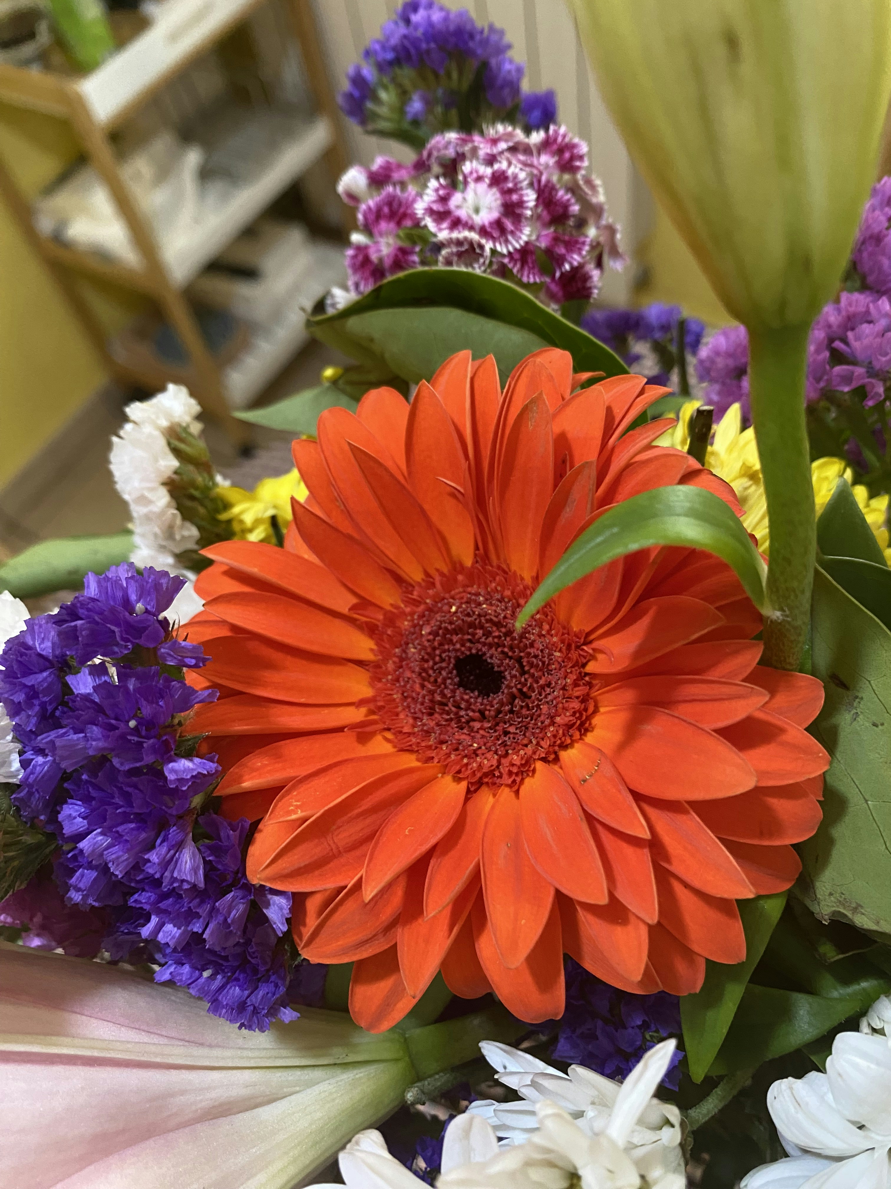 Photo by sunnyspot57