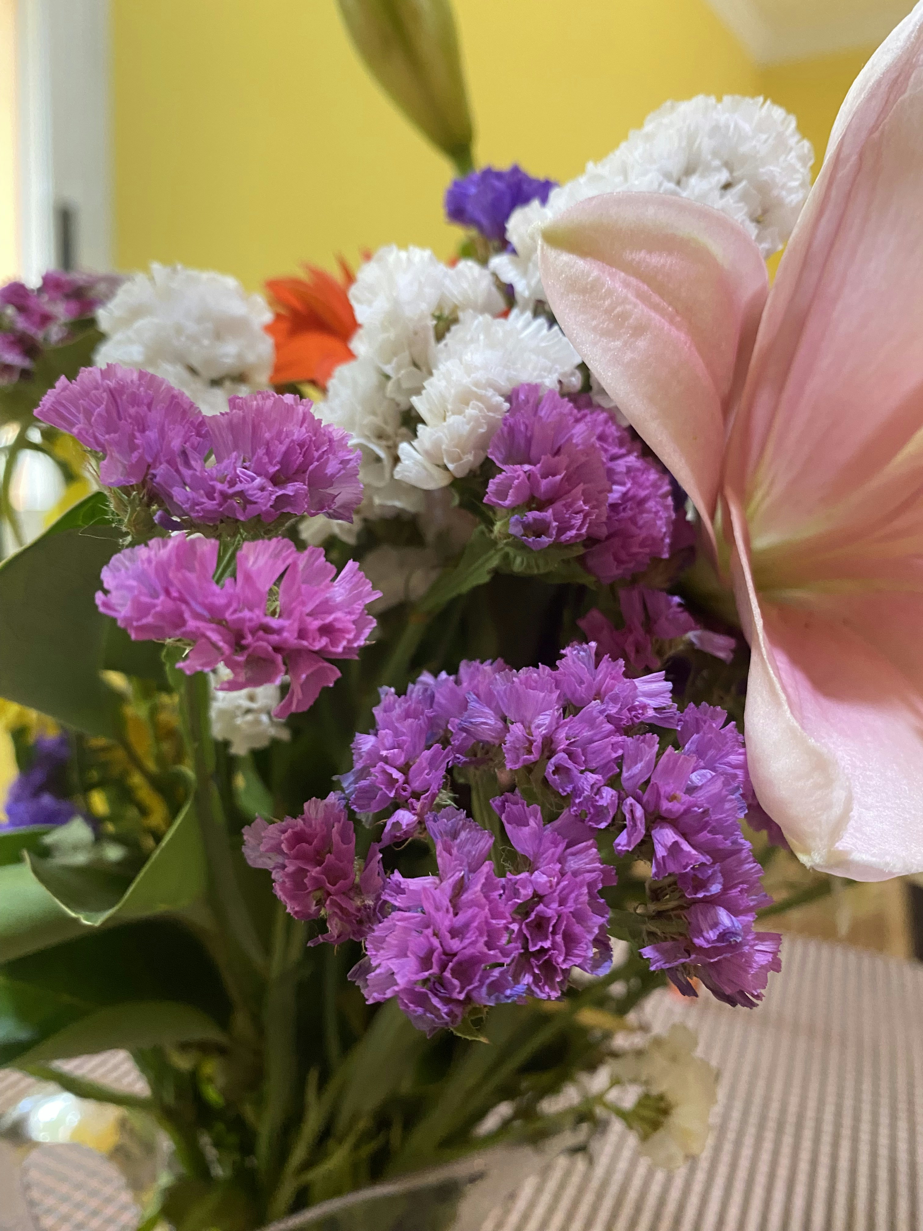 Ramo Primavera