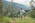 a man standing in a field next to a tree