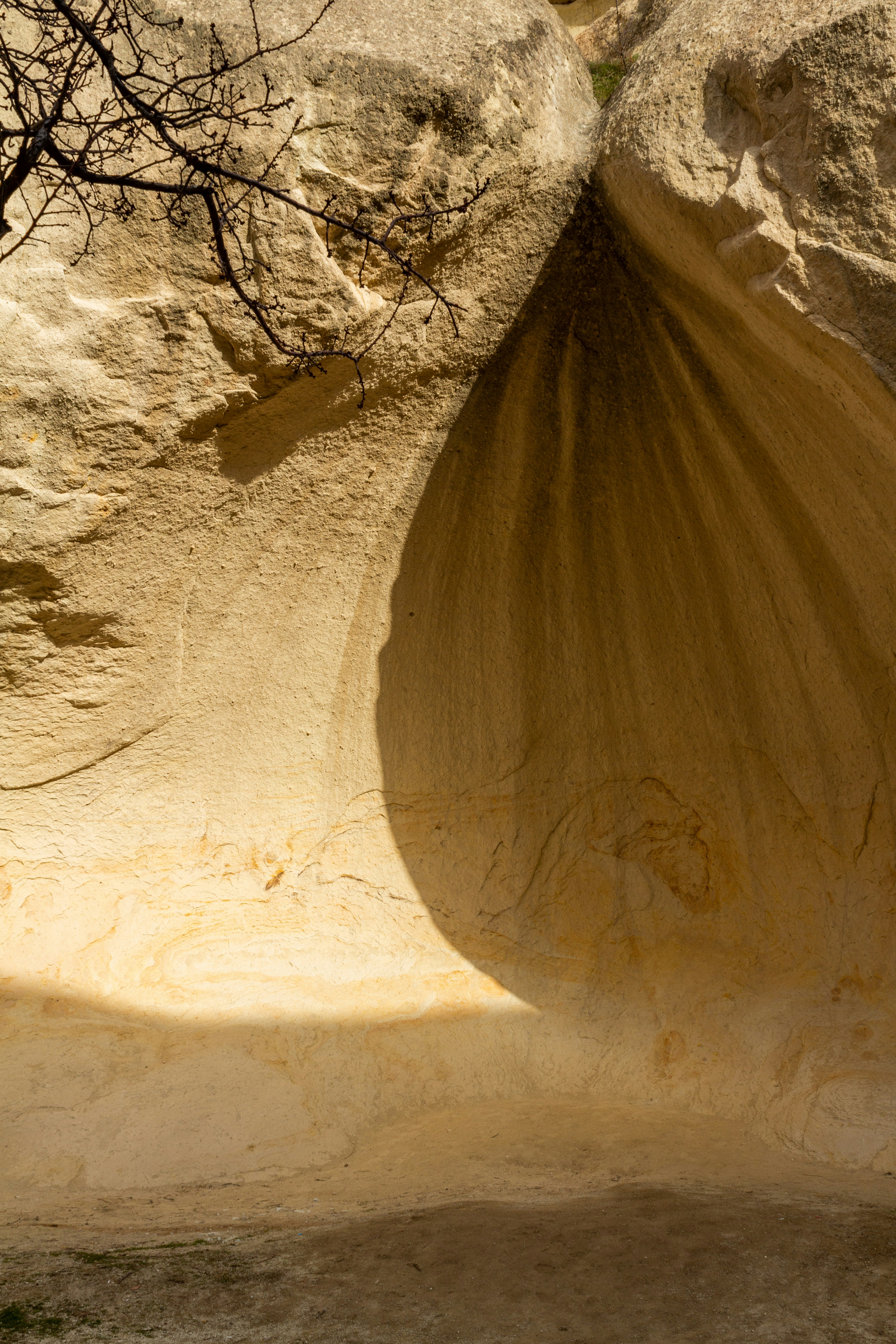 Photo by headofnarnia23