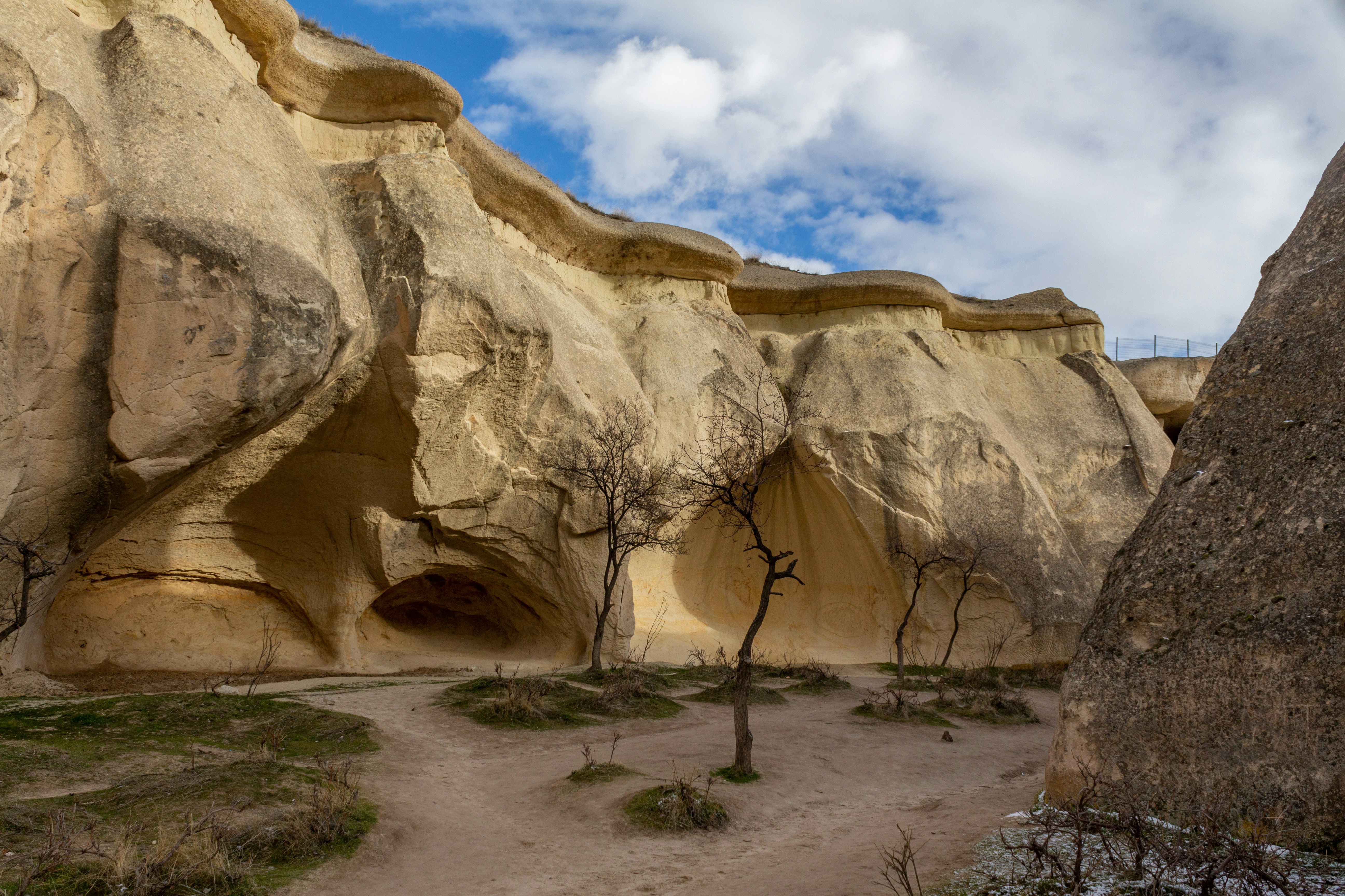 Hero Image 3: Rock Formation with Tree