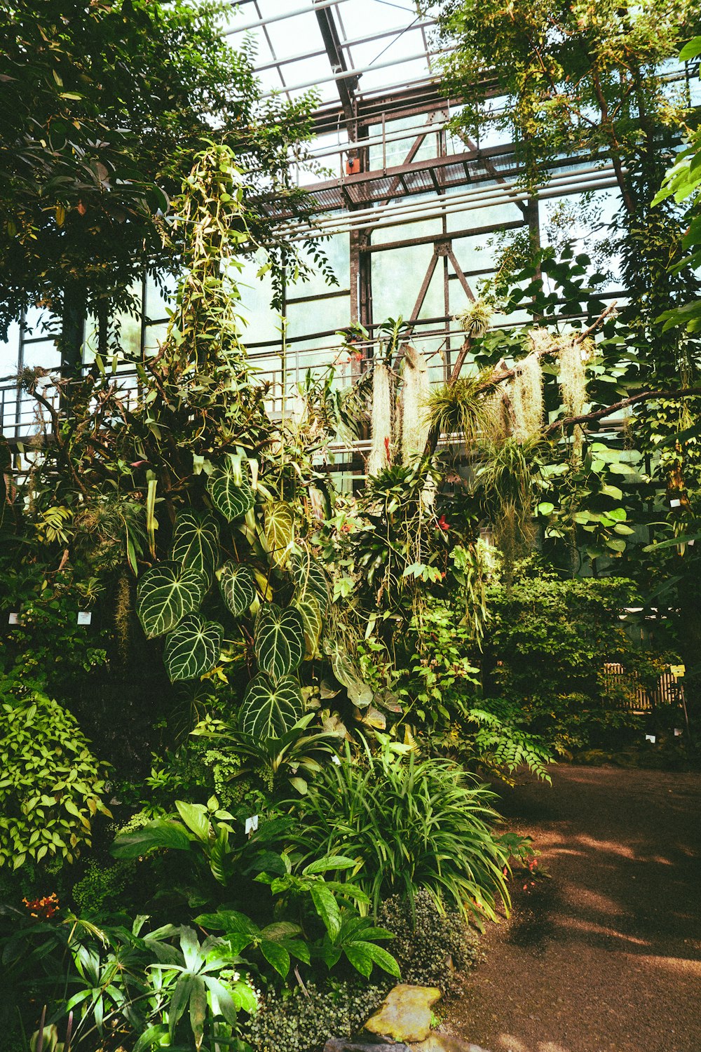 a greenhouse filled with lots of green plants