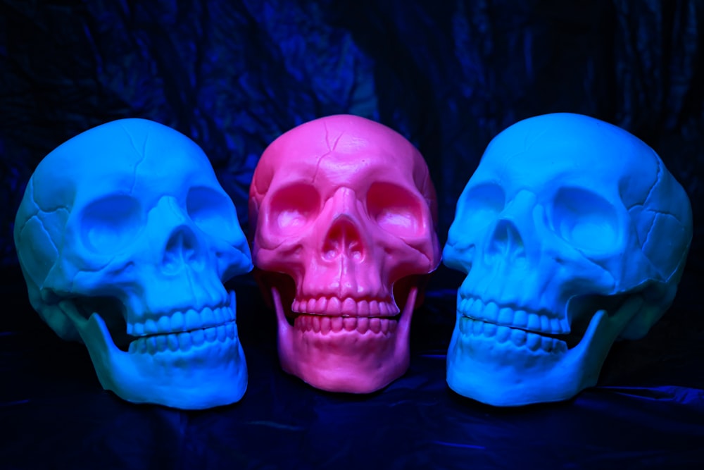 três crânios de cores diferentes sentados um ao lado do outro