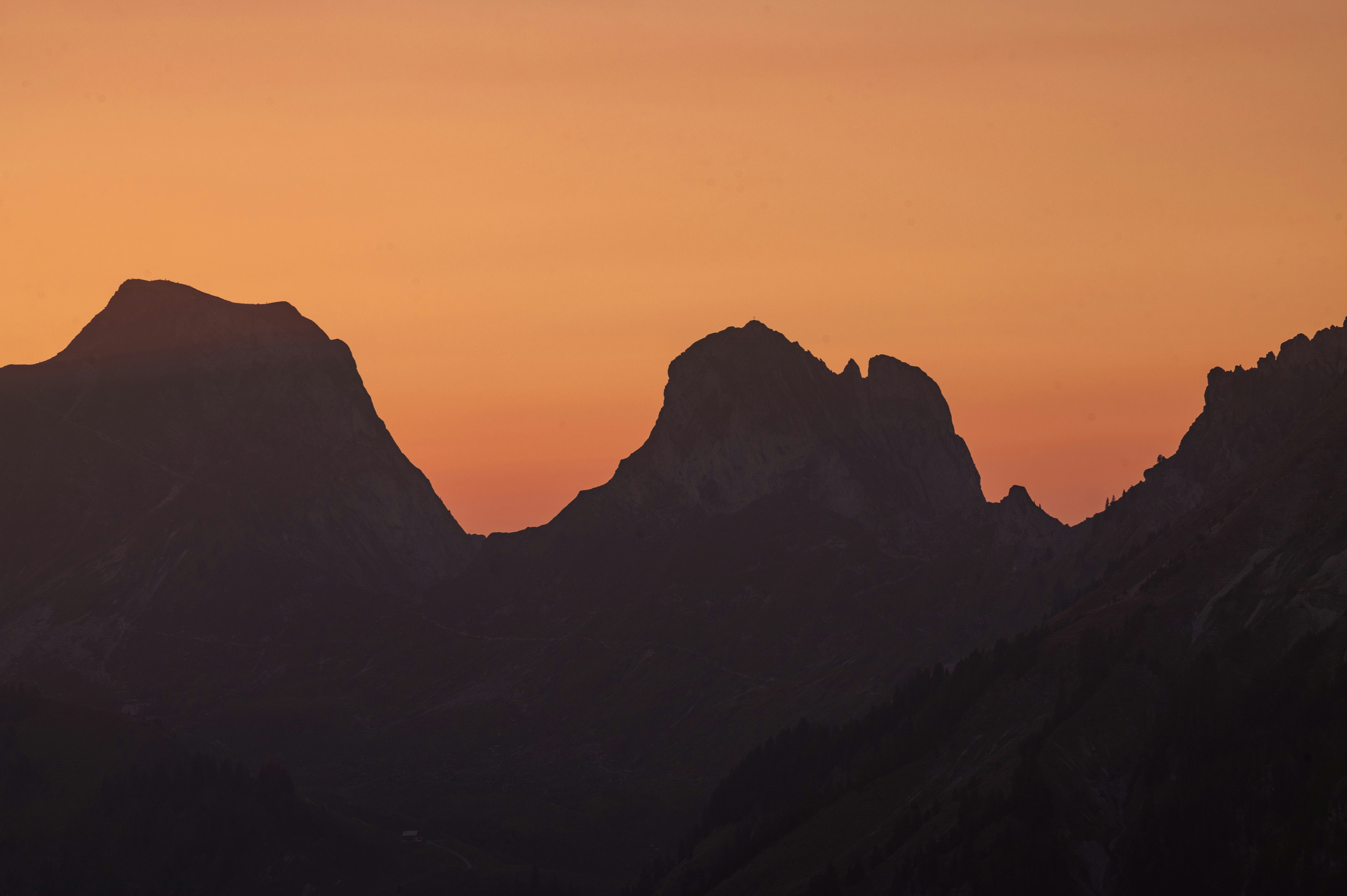 Photo by liviaphotographs