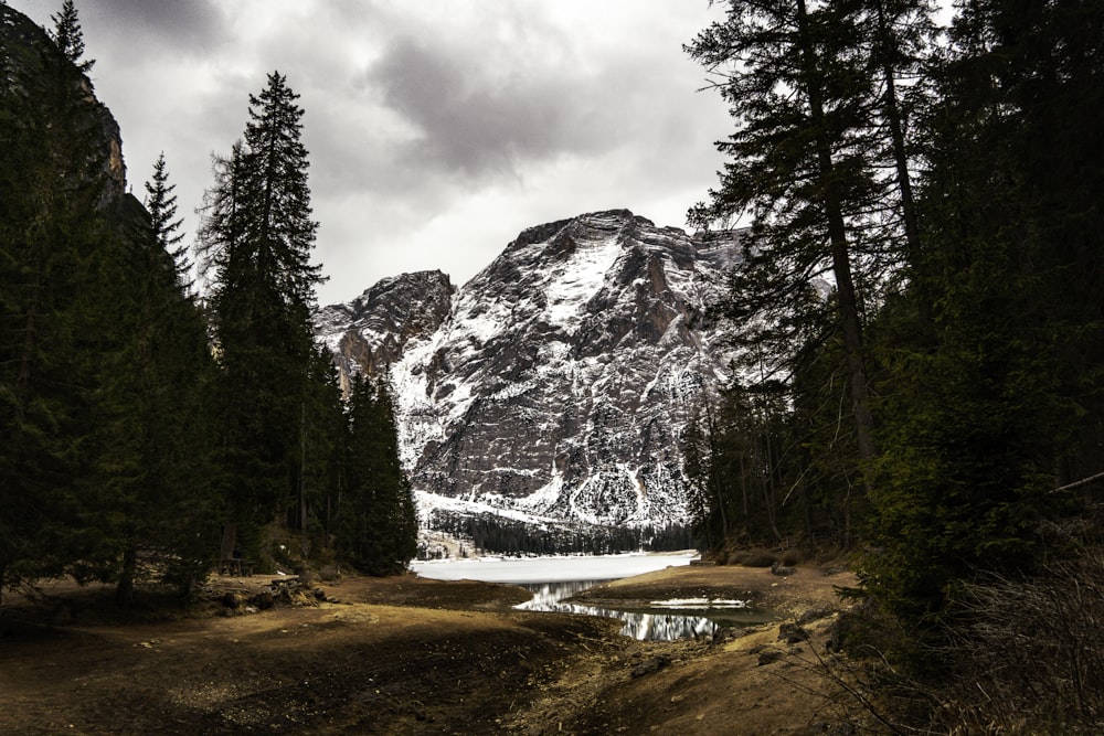 a snow covered mountain surrounded by pine trees