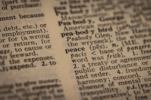 a close up of a book with words on it