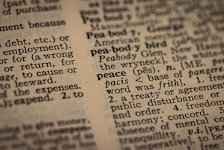 a close up of a book with words on it