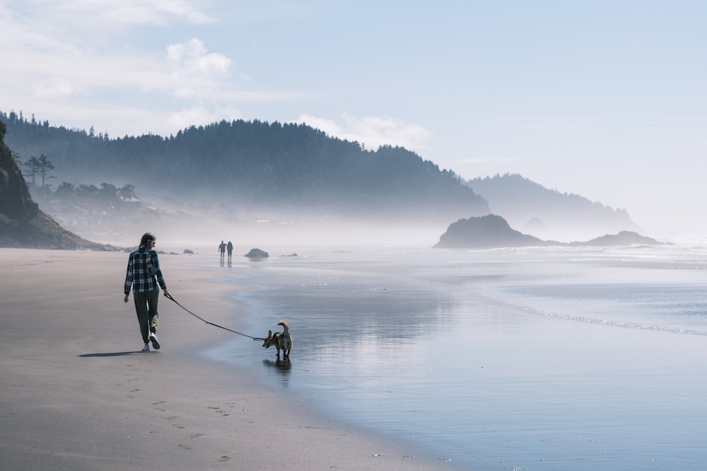 a person walking a dog on a beach