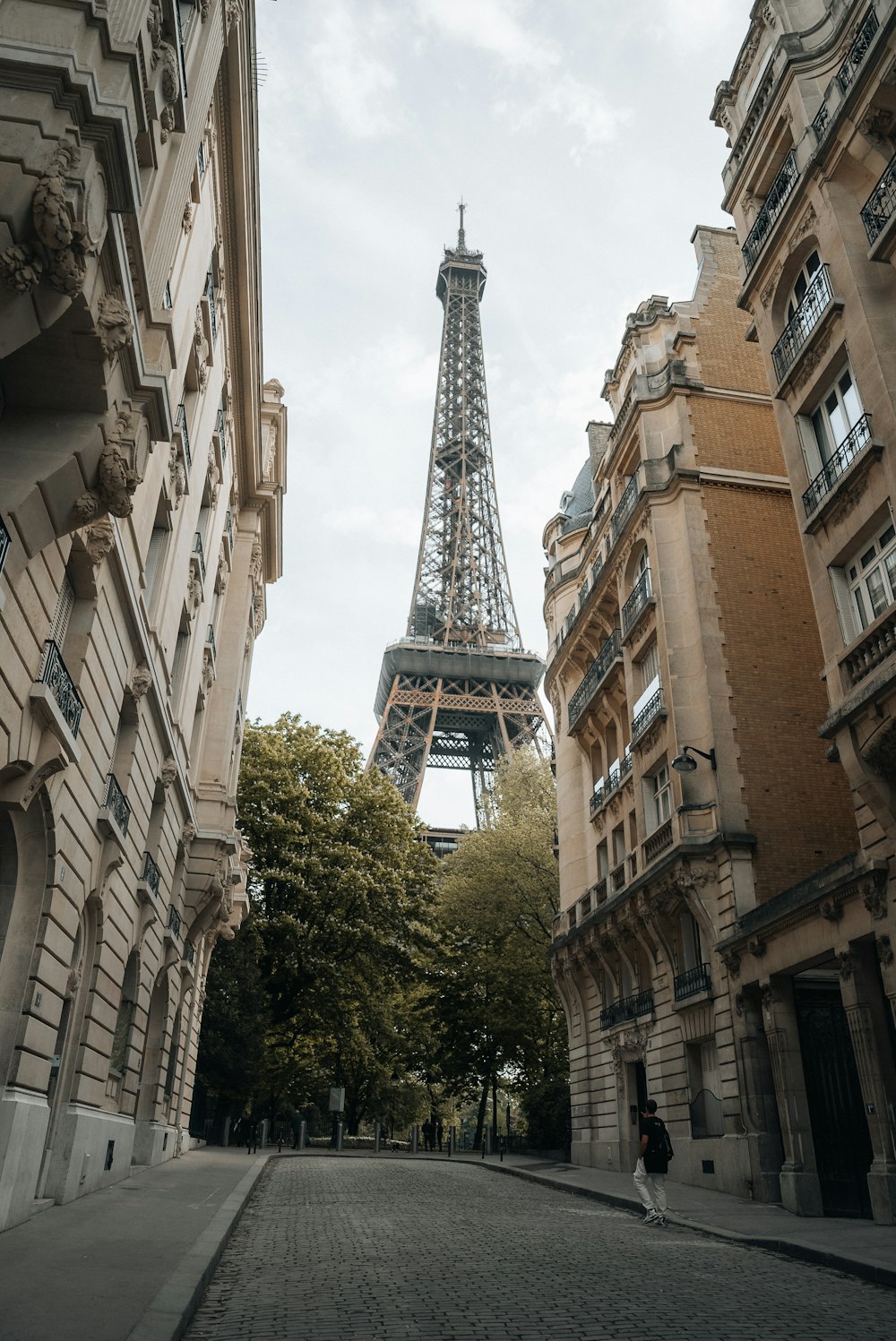 the eiffel tower towering over the city of paris