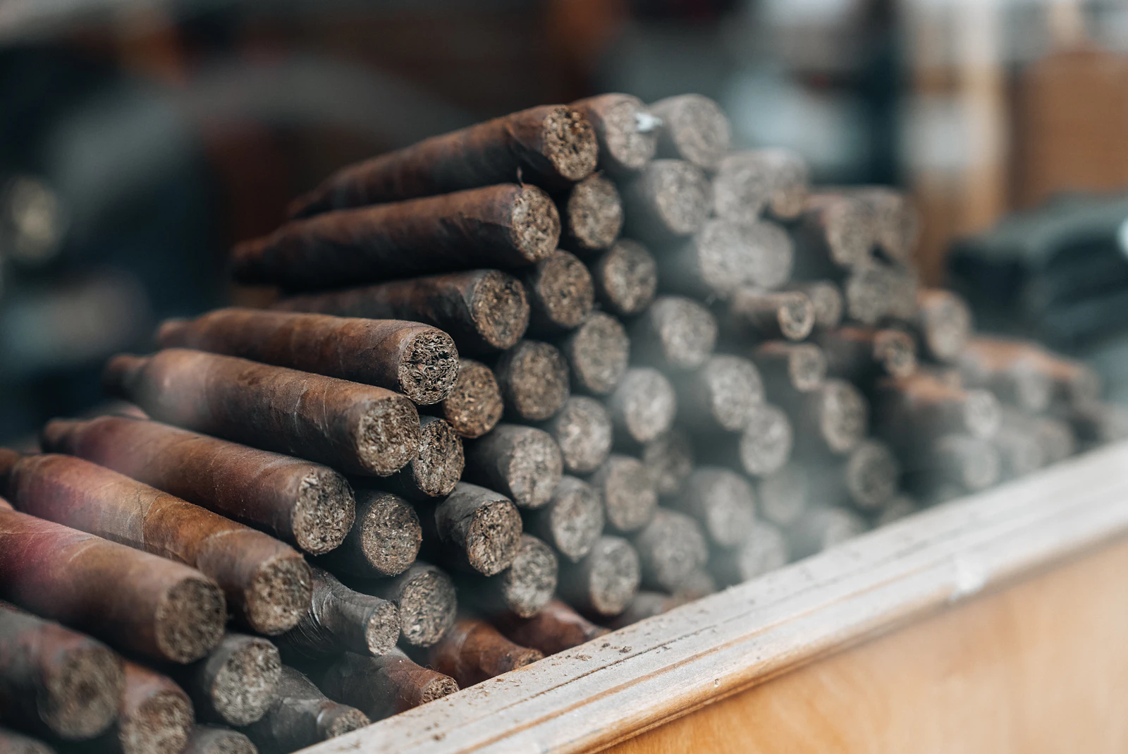 Rolled cigars arranged on a wooden surface lit by warm atmospheric light