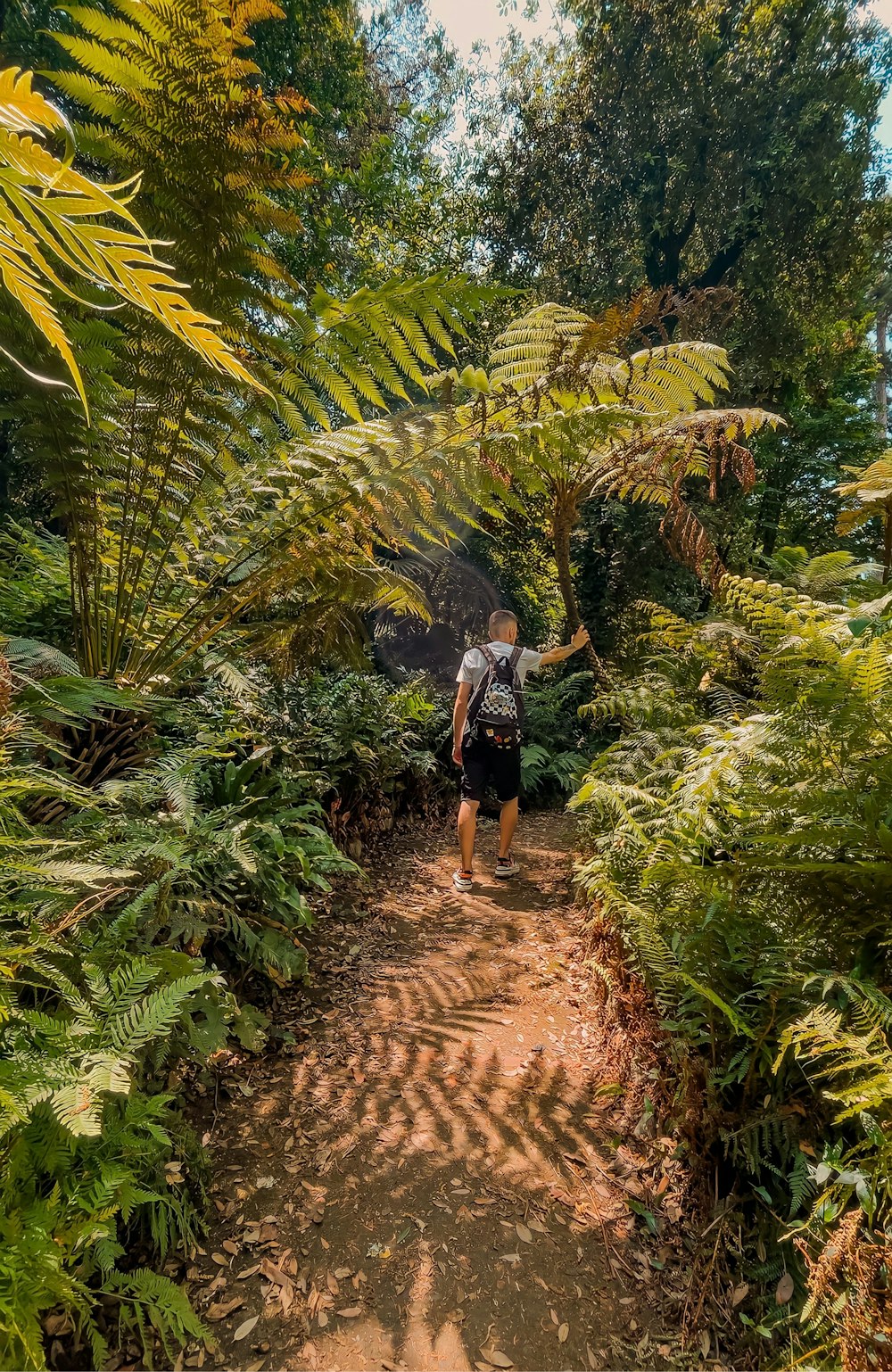 a man walking down a dirt path through a lush green forest
