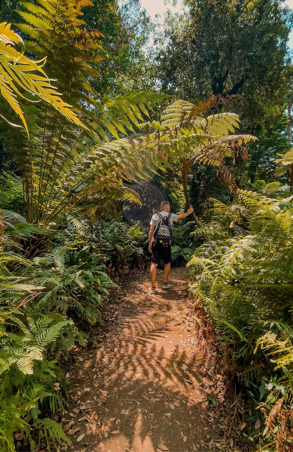 Un homme marchant sur un chemin de terre à travers une forêt verdoyante