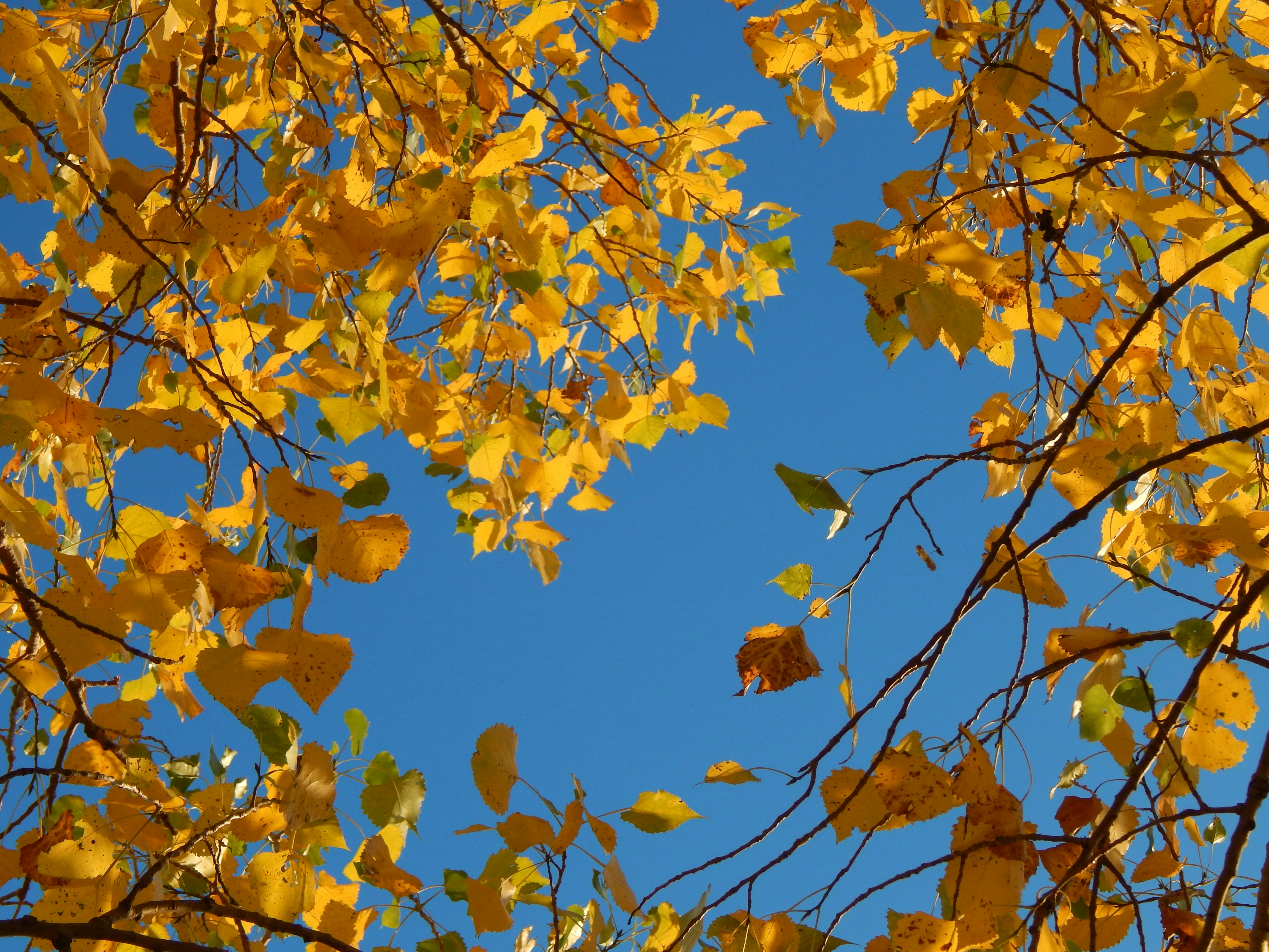 Photo by scarlettweiss