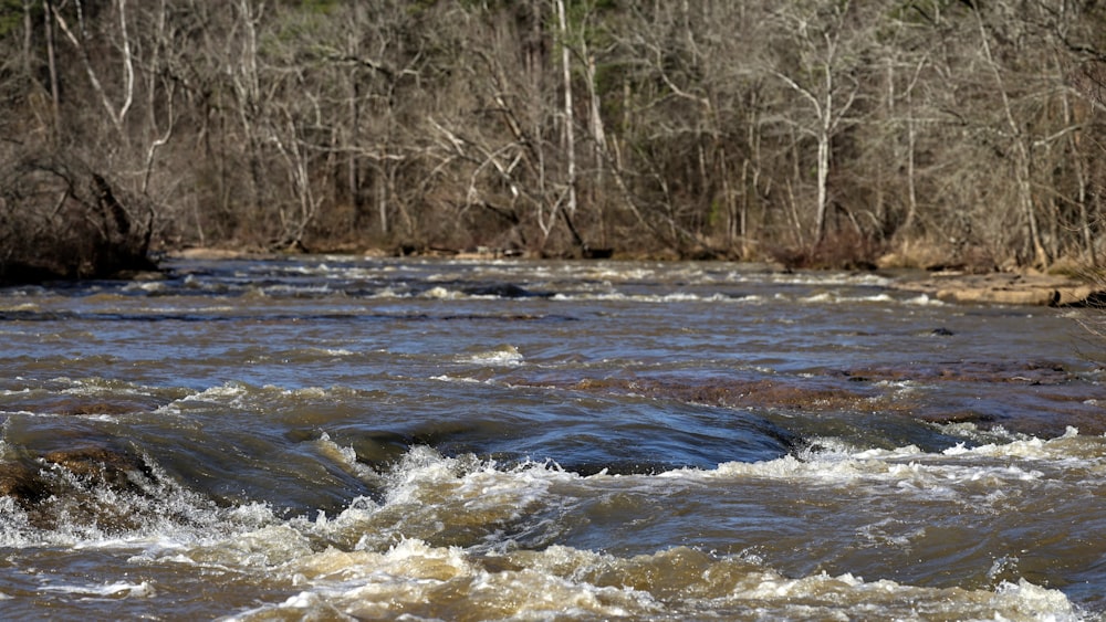 a man standing on a rock in the middle of a river