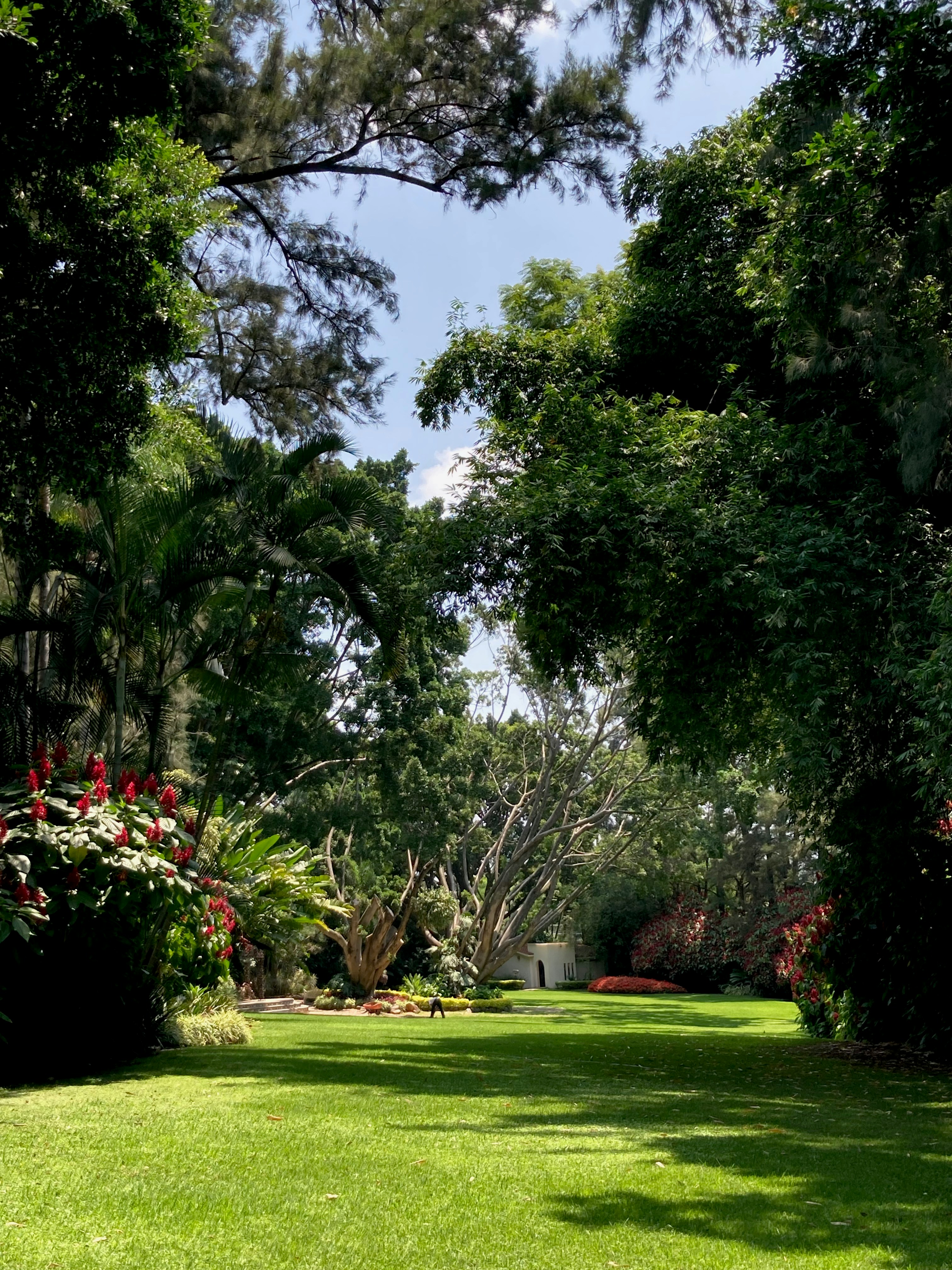 a bench in the middle of a lush green park