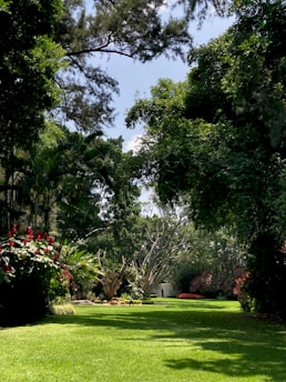 A lush garden landscape featuring a well-maintained green lawn bordered by dense, leafy trees and various flowering plants. Vibrant red flowers stand out against the greenery. Tall trees with sprawling branches frame the upper part of the scene, and sunlight filters through, casting dappled shadows on the ground.