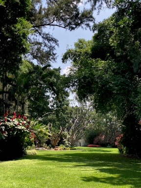A lush garden landscape featuring a well-maintained green lawn bordered by dense, leafy trees and various flowering plants. Vibrant red flowers stand out against the greenery. Tall trees with sprawling branches frame the upper part of the scene, and sunlight filters through, casting dappled shadows on the ground.