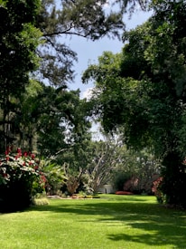 A lush garden landscape featuring a well-maintained green lawn bordered by dense, leafy trees and various flowering plants. Vibrant red flowers stand out against the greenery. Tall trees with sprawling branches frame the upper part of the scene, and sunlight filters through, casting dappled shadows on the ground.