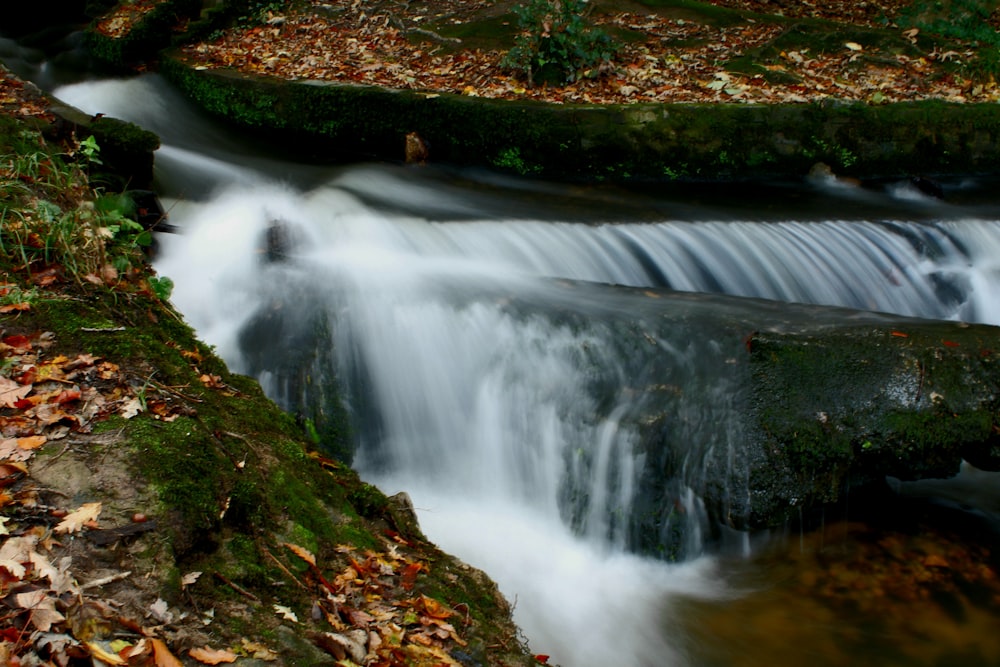 Une petite cascade au milieu d’une forêt