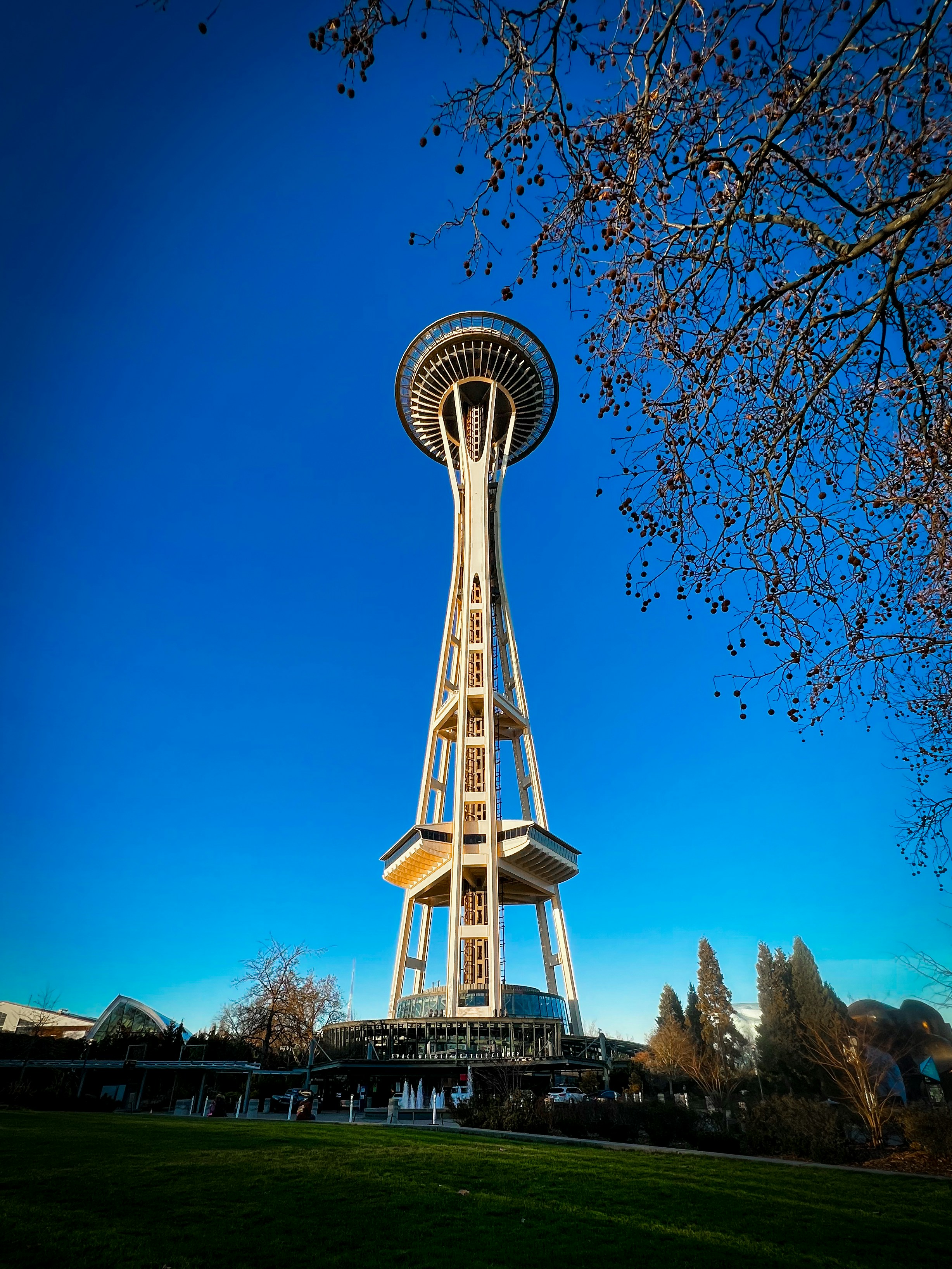 Photo by frankielopez