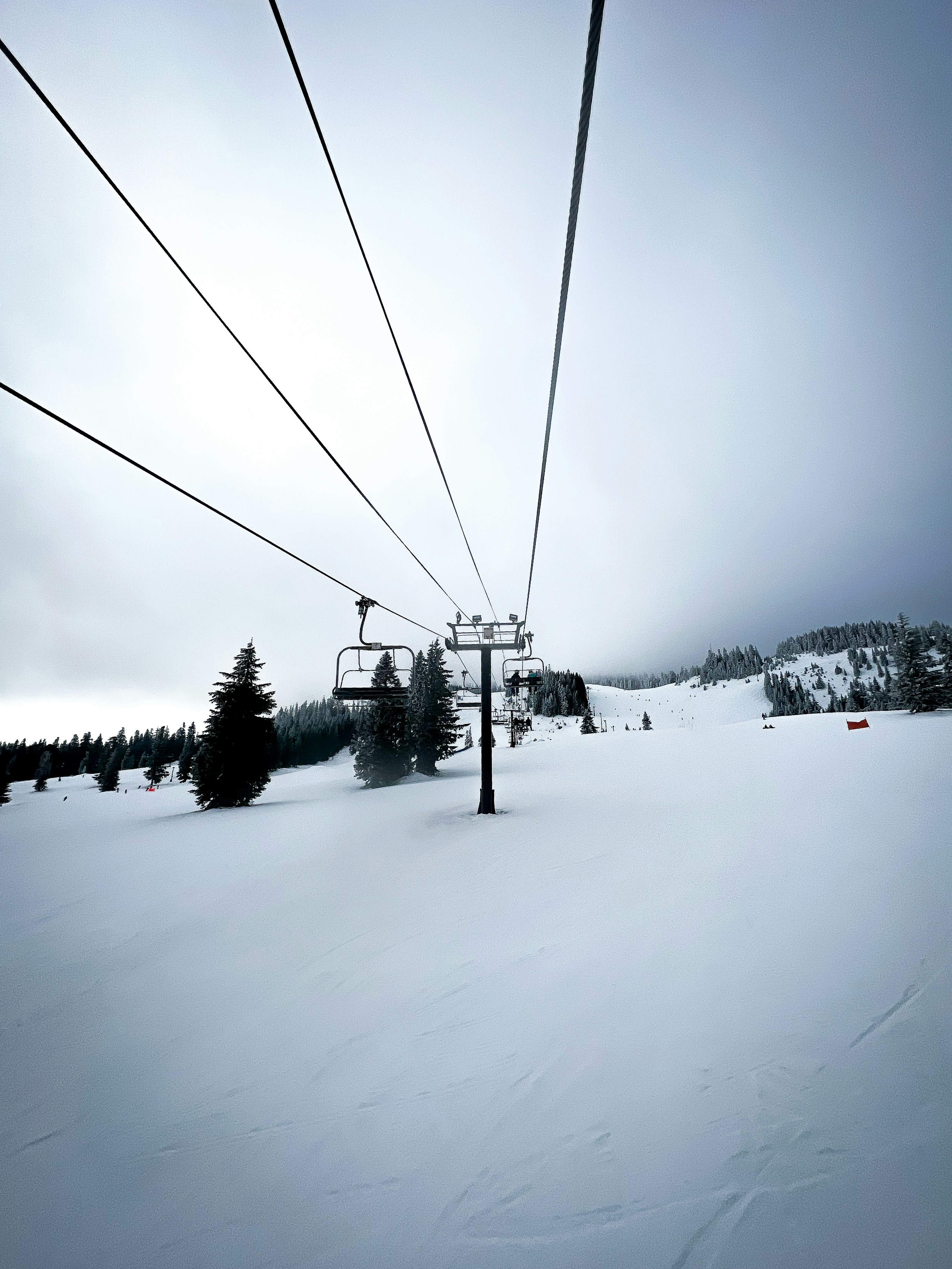 Photo by frankielopez