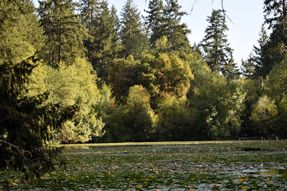 Photo 1694718537330 C6f70d426813?q=85&w=584&h=438&fit=crop