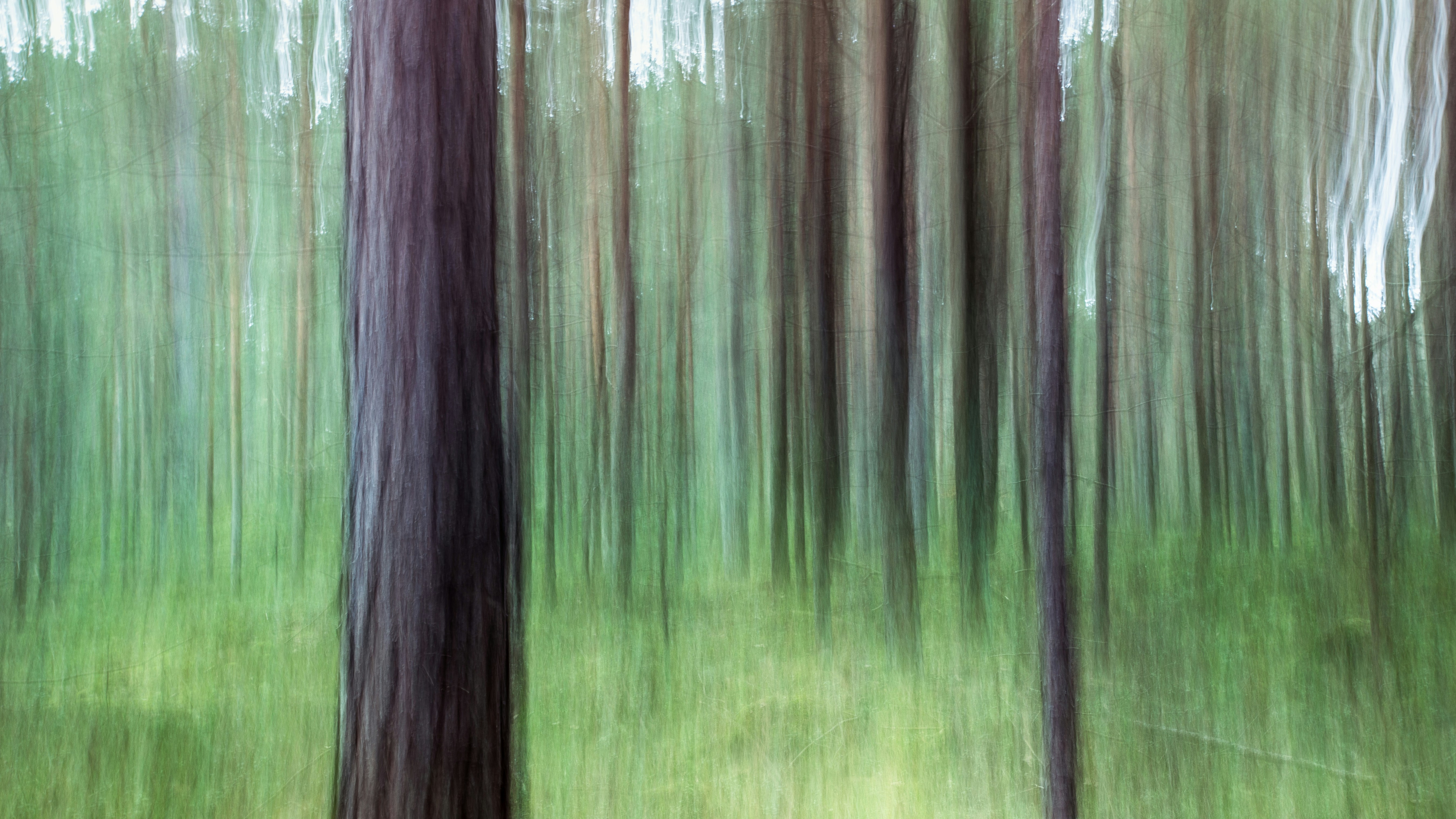 Photo by marekpiwnicki